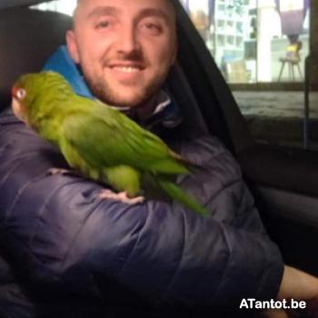 artan33 - date a Belgian, 100% free artan33