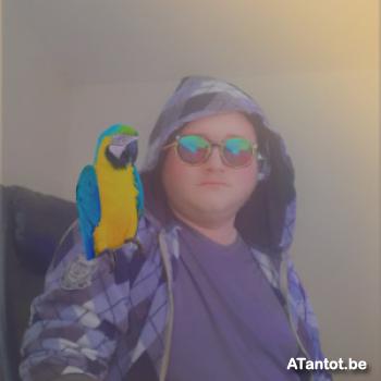 xmatthieux - date a Belgian, 100% free xmatthieux