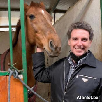 mistertik - date a Belgian, 100% free mistertik