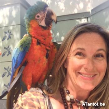 cld621 - date a Belgian, 100% free cld621