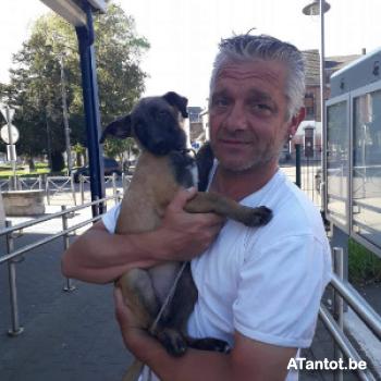 catfred - date a Belgian, 100% free catfred