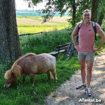 yoplait96 - date a Belgian, 100% free yoplait96