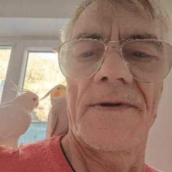 dominant25 - date a Belgian, 100% free dominant25