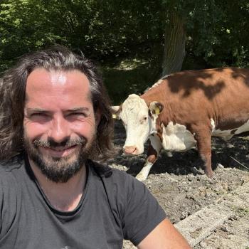 Raphael0490 - date a Belgian, 100% free Raphael0490