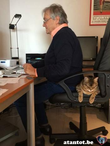 micheldani - date a Belgian, 100% free micheldani