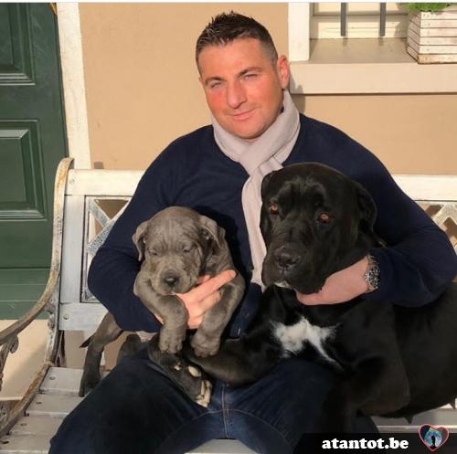 jasonjax56 - date a Belgian, 100% free jasonjax56