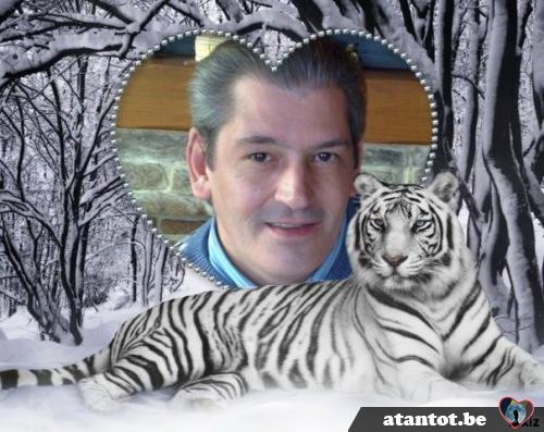 taxi301 - date a Belgian, 100% free taxi301