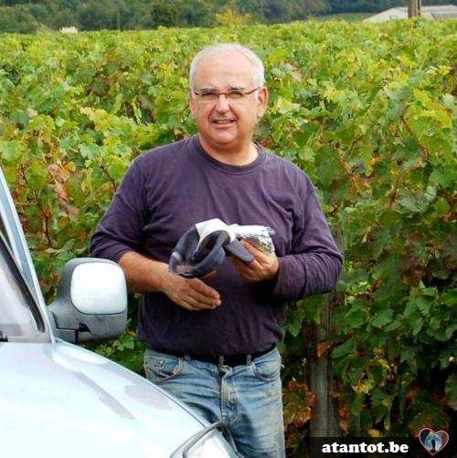 cseul114 - date a Belgian, 100% free cseul114