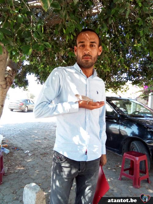 afiab - date a Belgian, 100% free afiab