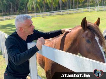 march - date a Belgian, 100% free march
