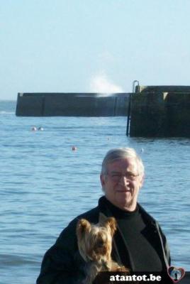 steve2302 - date a Belgian, 100% free steve2302