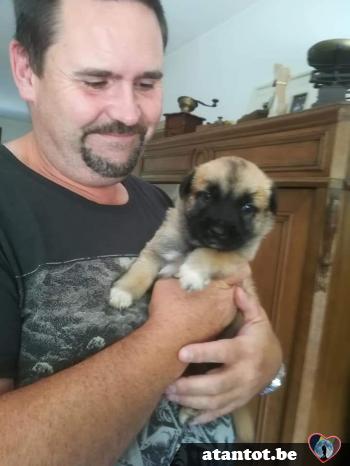 blade - date a Belgian, 100% free blade