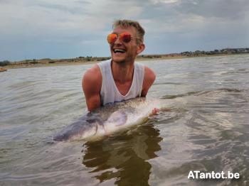 flipd - date a Belgian, 100% free flipd