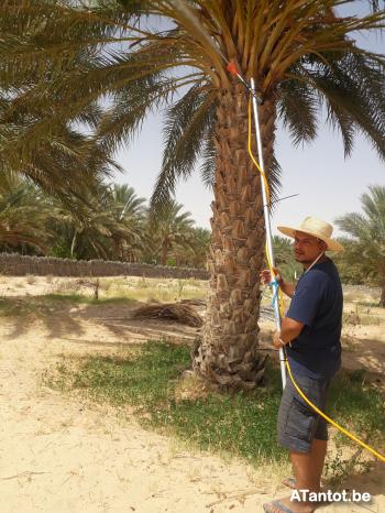 princesud - date a Belgian, 100% free princesud