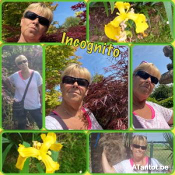 11fanfan - date a Belgian, 100% free 11fanfan