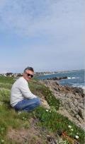 Nouvelle-Aquitaine chat